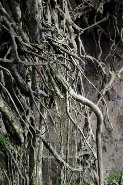 Ассоциации и фотовпечатления: Бали и капелька Ломбока