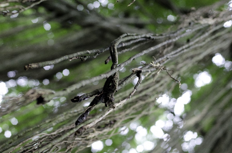 Ассоциации и фотовпечатления: Бали и капелька Ломбока