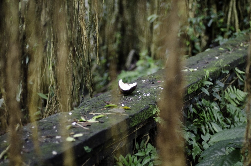 Ассоциации и фотовпечатления: Бали и капелька Ломбока