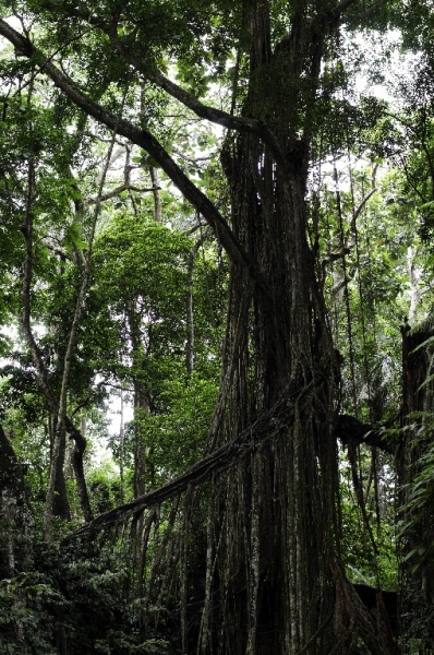 Ассоциации и фотовпечатления: Бали и капелька Ломбока