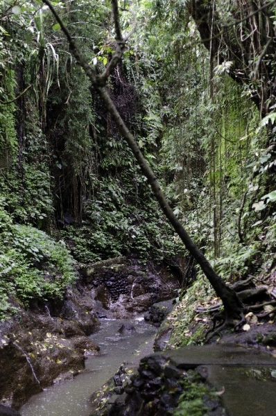 Ассоциации и фотовпечатления: Бали и капелька Ломбока