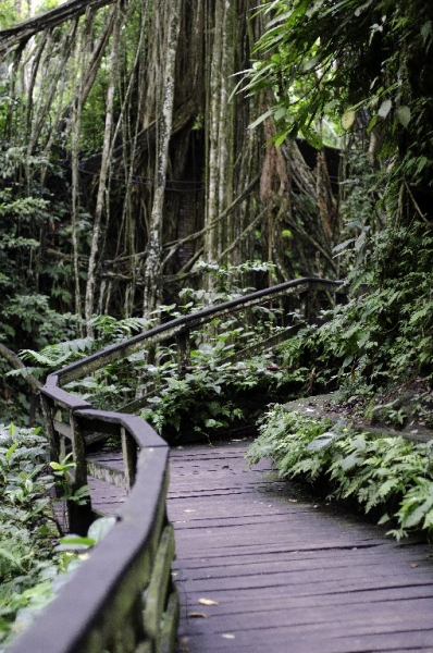 Ассоциации и фотовпечатления: Бали и капелька Ломбока