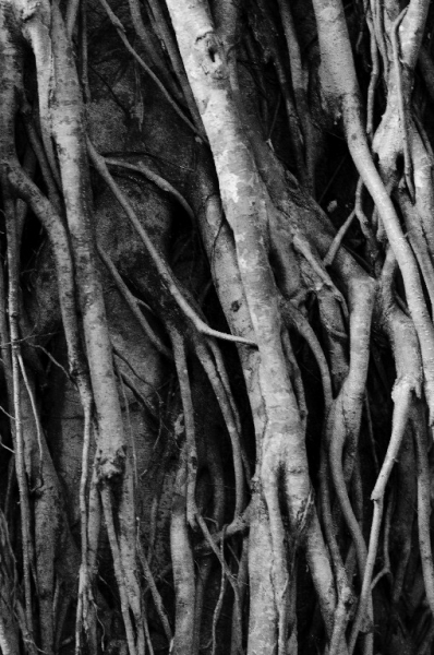 Ассоциации и фотовпечатления: Бали и капелька Ломбока