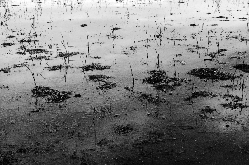 Ассоциации и фотовпечатления: Бали и капелька Ломбока