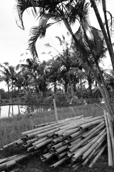 Ассоциации и фотовпечатления: Бали и капелька Ломбока