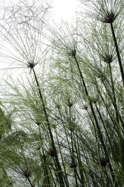Ассоциации и фотовпечатления: Бали и капелька Ломбока