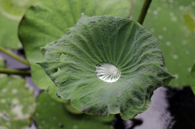 Ассоциации и фотовпечатления: Бали и капелька Ломбока