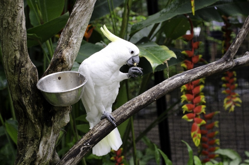 Ассоциации и фотовпечатления: Бали и капелька Ломбока