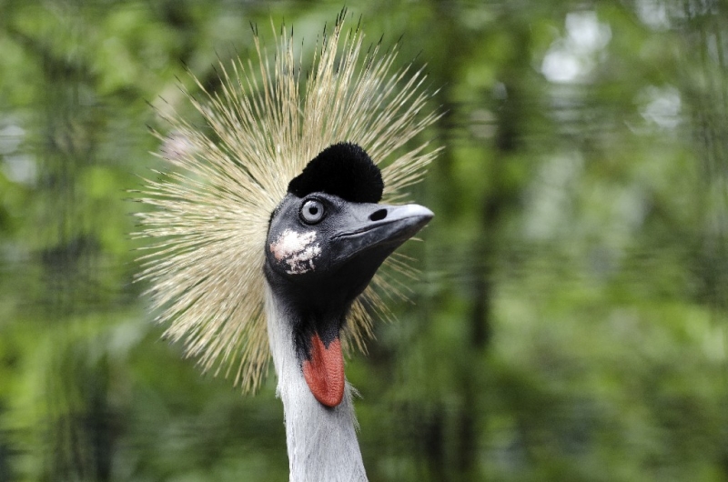 Ассоциации и фотовпечатления: Бали и капелька Ломбока