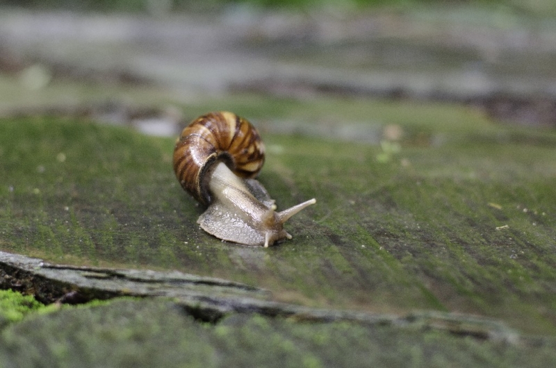 Ассоциации и фотовпечатления: Бали и капелька Ломбока