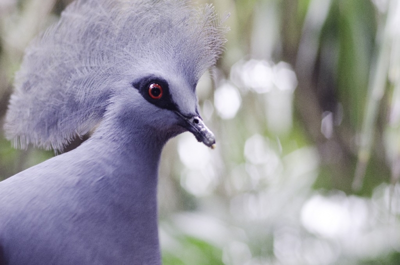 Ассоциации и фотовпечатления: Бали и капелька Ломбока