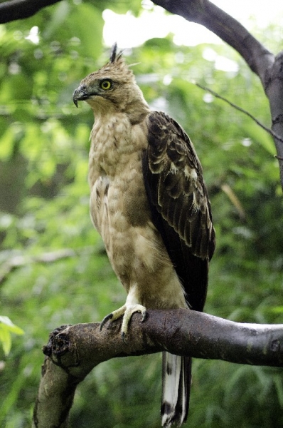 Ассоциации и фотовпечатления: Бали и капелька Ломбока