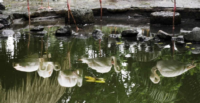 Ассоциации и фотовпечатления: Бали и капелька Ломбока