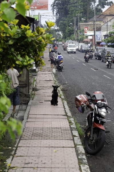 Ассоциации и фотовпечатления: Бали и капелька Ломбока