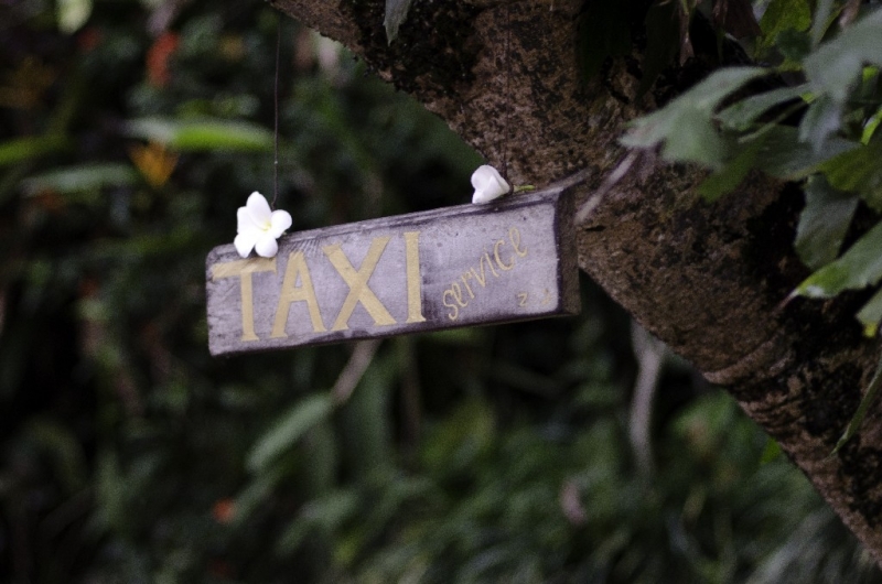 Ассоциации и фотовпечатления: Бали и капелька Ломбока
