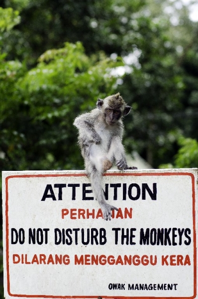 Ассоциации и фотовпечатления: Бали и капелька Ломбока