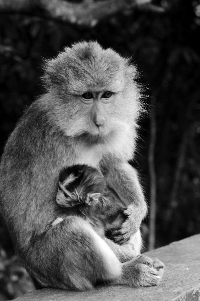 Ассоциации и фотовпечатления: Бали и капелька Ломбока