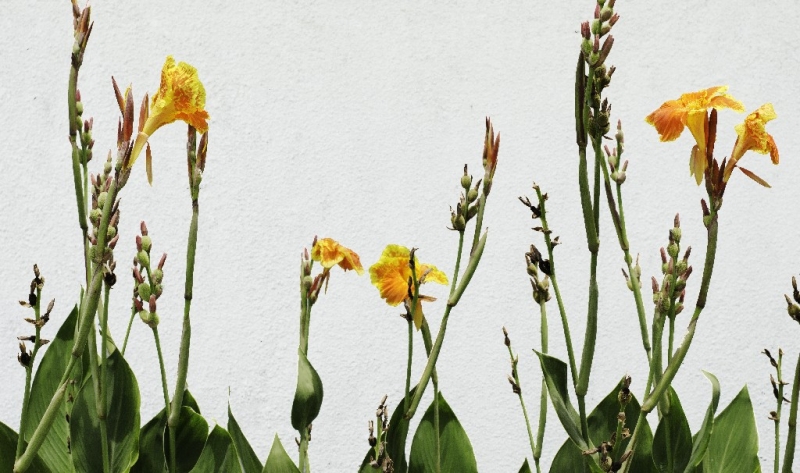 Ассоциации и фотовпечатления: Бали и капелька Ломбока