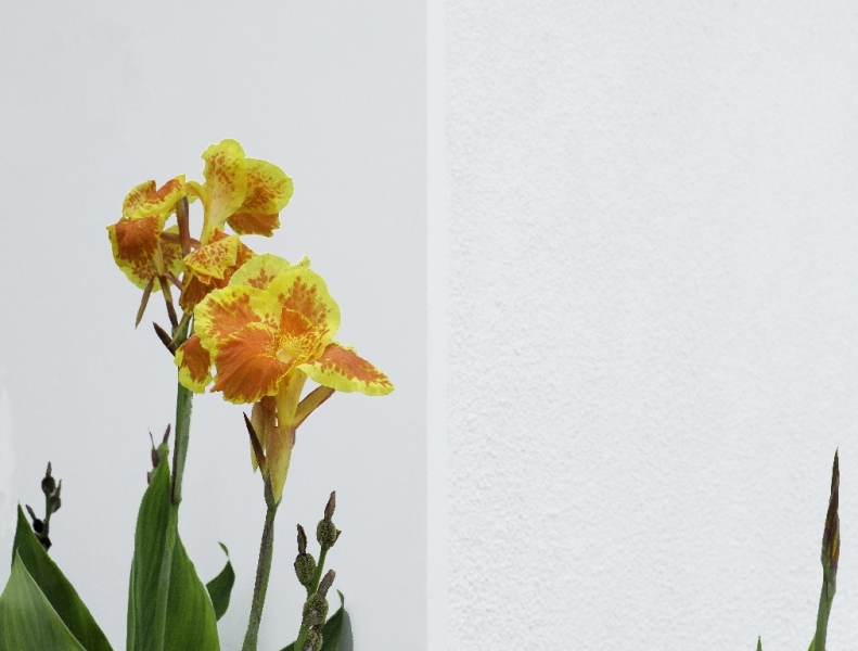 Ассоциации и фотовпечатления: Бали и капелька Ломбока