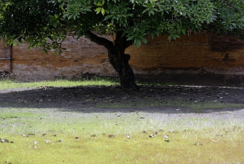 Ассоциации и фотовпечатления: Бали и капелька Ломбока