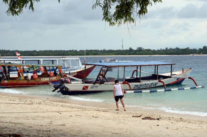 Ассоциации и фотовпечатления: Бали и капелька Ломбока