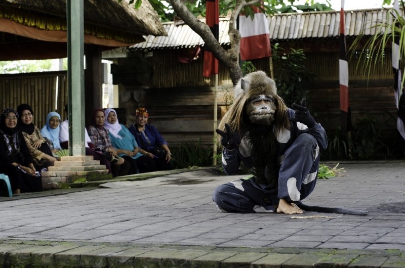 Ассоциации и фотовпечатления: Бали и капелька Ломбока