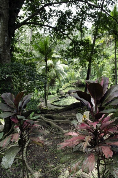 Ассоциации и фотовпечатления: Бали и капелька Ломбока