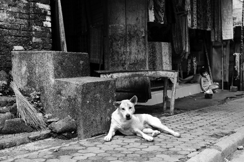 Ассоциации и фотовпечатления: Бали и капелька Ломбока