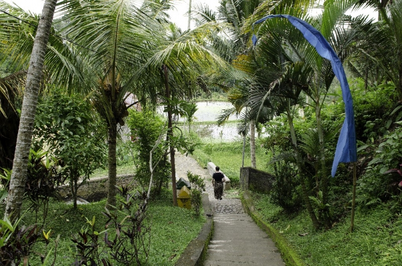 Ассоциации и фотовпечатления: Бали и капелька Ломбока