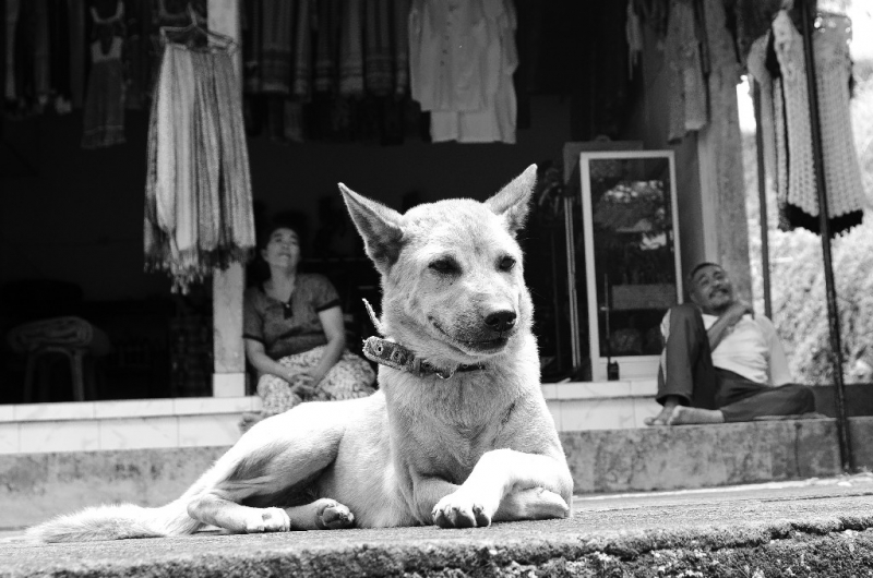 Ассоциации и фотовпечатления: Бали и капелька Ломбока