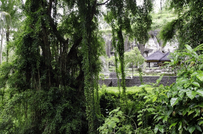 Ассоциации и фотовпечатления: Бали и капелька Ломбока
