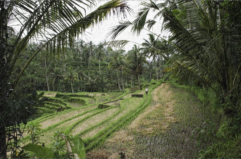 Ассоциации и фотовпечатления: Бали и капелька Ломбока