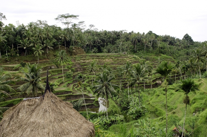 Ассоциации и фотовпечатления: Бали и капелька Ломбока