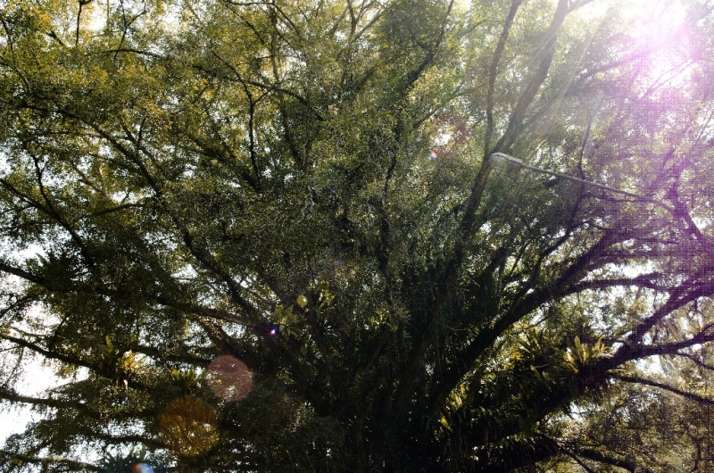 Ассоциации и фотовпечатления: Бали и капелька Ломбока