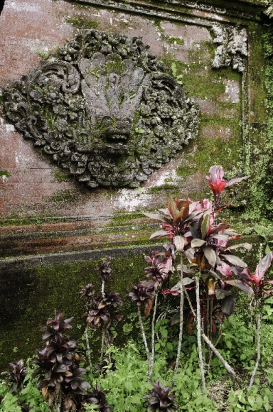 Ассоциации и фотовпечатления: Бали и капелька Ломбока