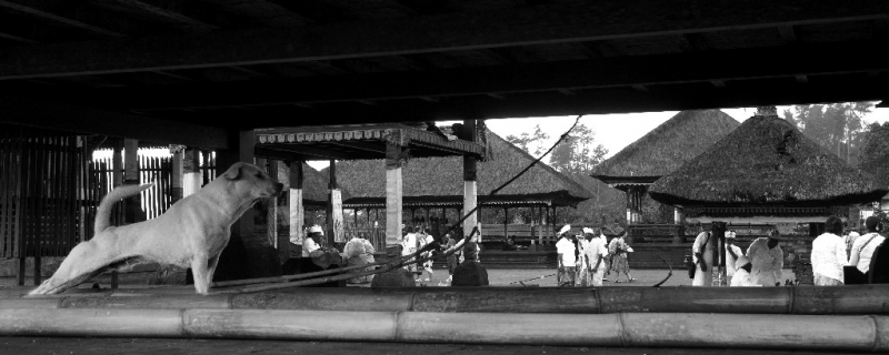 Ассоциации и фотовпечатления: Бали и капелька Ломбока