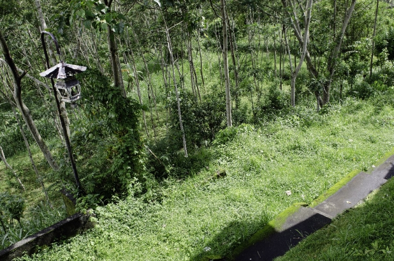Ассоциации и фотовпечатления: Бали и капелька Ломбока