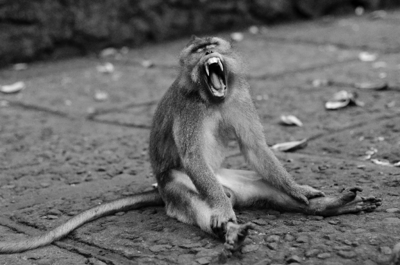 Ассоциации и фотовпечатления: Бали и капелька Ломбока