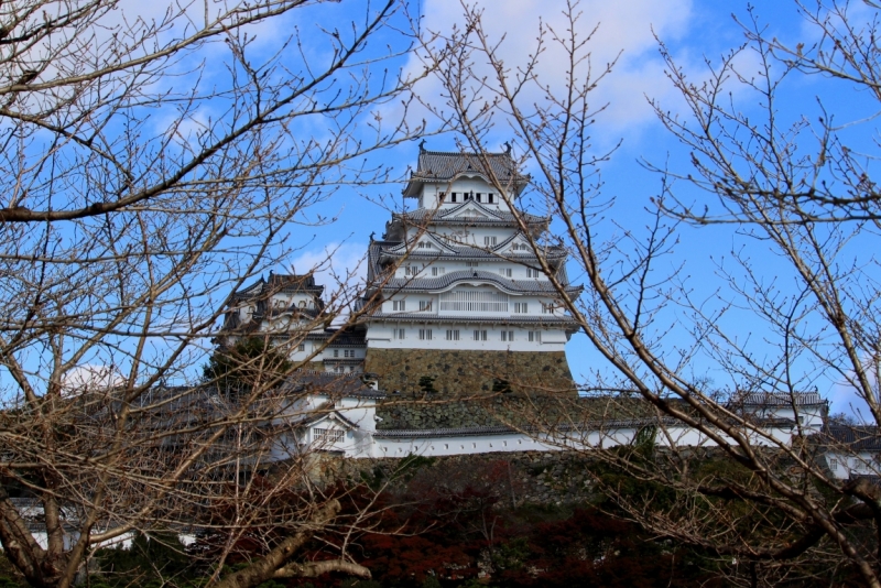 Момидзи 2015. Tokyo-Nikko-Hakone-Osaka-Kyoto-Nara-Himeji-Okayama-Kurashiki-Koyasan-Tokyo