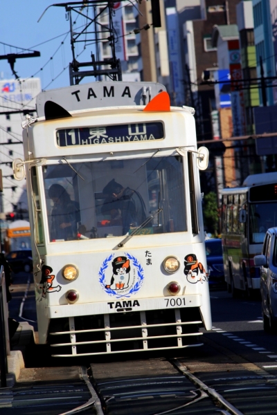 Момидзи 2015. Tokyo-Nikko-Hakone-Osaka-Kyoto-Nara-Himeji-Okayama-Kurashiki-Koyasan-Tokyo