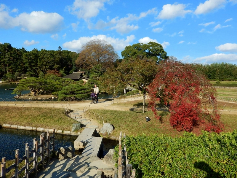 Момидзи 2015. Tokyo-Nikko-Hakone-Osaka-Kyoto-Nara-Himeji-Okayama-Kurashiki-Koyasan-Tokyo