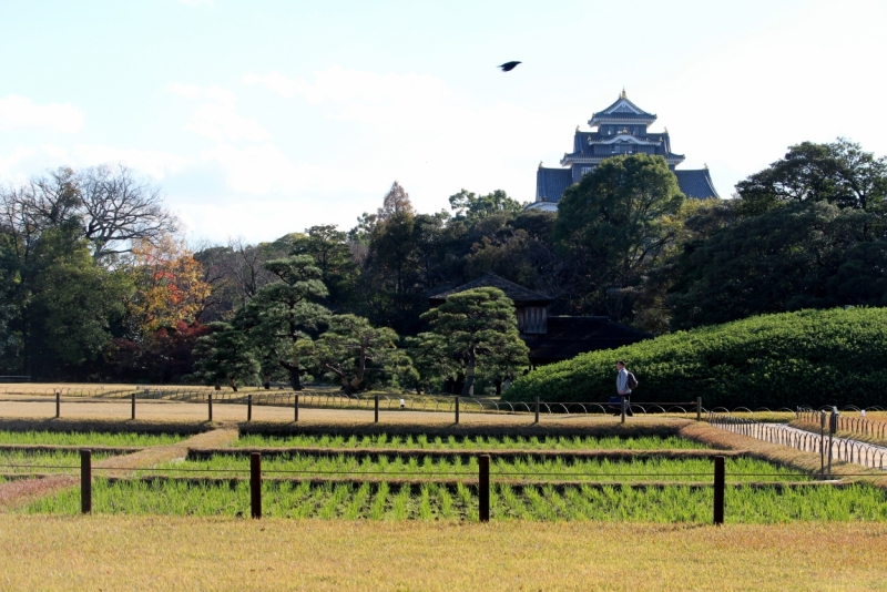 Момидзи 2015. Tokyo-Nikko-Hakone-Osaka-Kyoto-Nara-Himeji-Okayama-Kurashiki-Koyasan-Tokyo