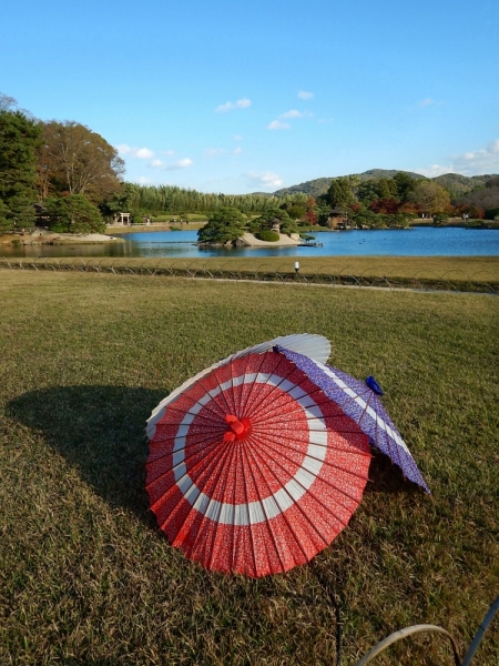 Момидзи 2015. Tokyo-Nikko-Hakone-Osaka-Kyoto-Nara-Himeji-Okayama-Kurashiki-Koyasan-Tokyo