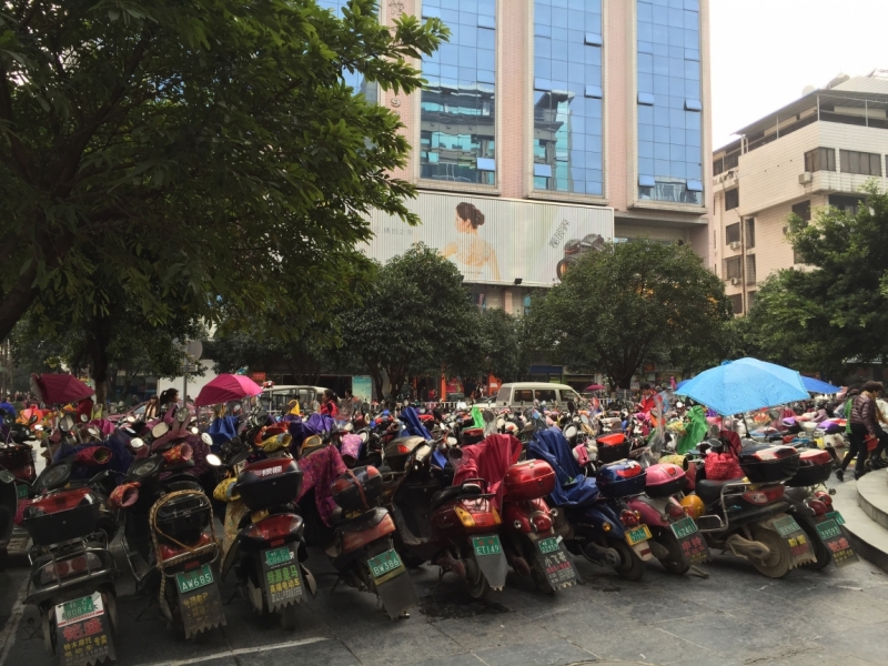 Гуанджоу, Яншо, Гонконг, Макао. 10 дней. Новогодние каникулы