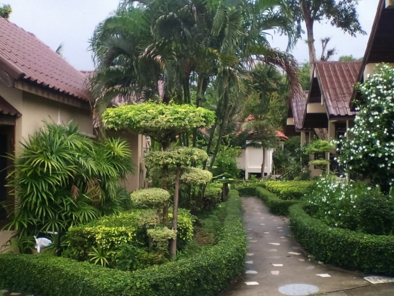 Тратишь на Трат - Самет виноват или паттайский перехват. Тайская неделя февраля 2016 года.