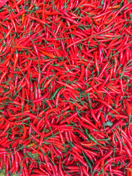 Гуанджоу, Яншо, Гонконг, Макао. 10 дней. Новогодние каникулы