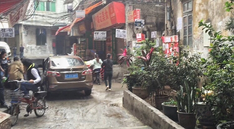 Гуанджоу, Яншо, Гонконг, Макао. 10 дней. Новогодние каникулы