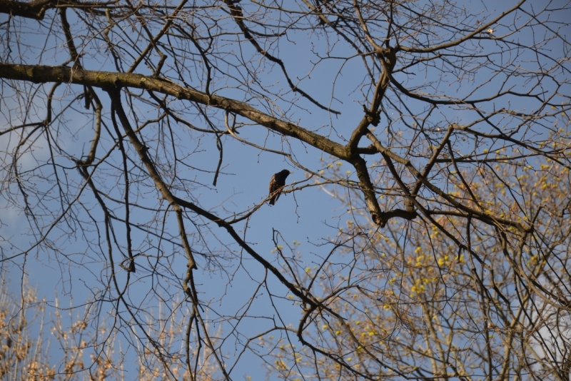 Евротур. Галопом по европам ч.2