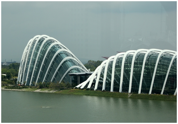 Двенадцать дней осени в городе вечного лета