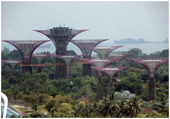 Двенадцать дней осени в городе вечного лета